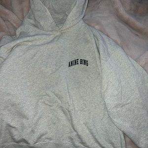 Anine Bing grey sweatshirt with hood!